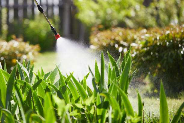24/7 Emergency Mosquito Control experts in Cove Creek, NC